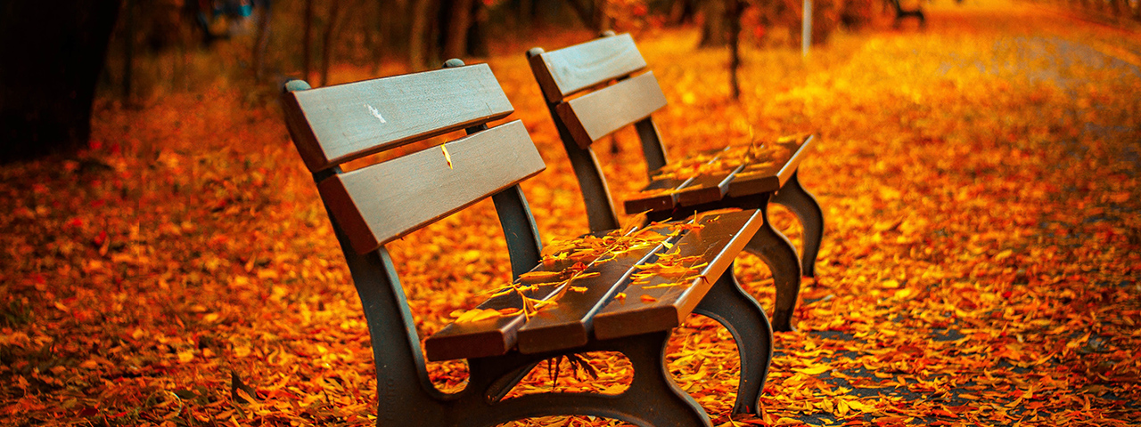 2-benches-fall-leaves